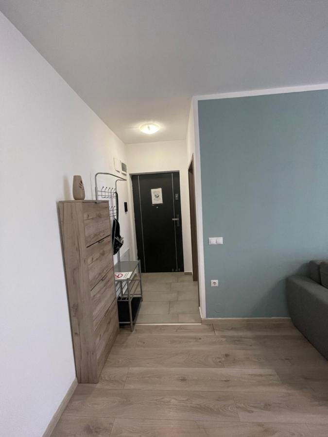 Roxi'S Apartment Sibiu Bagian luar foto